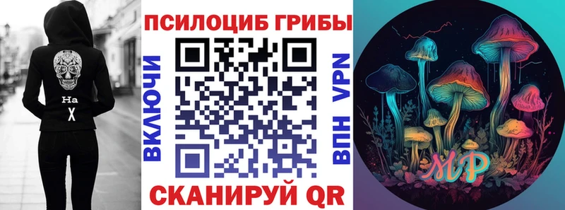 ссылка на мегу как зайти  Себеж  Псилоцибиновые грибы Psilocybine cubensis 